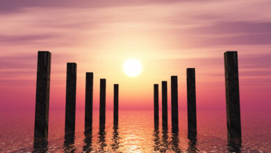 Houten palen in rustig water bij zonsondergang, symboliserend stabilisatie en focus van aandacht in ecstatologisch bewustzijn